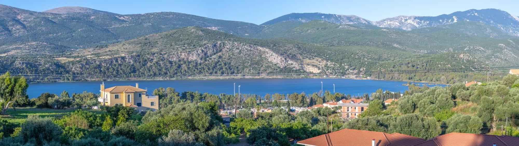 Apaggio Di Argostoli Apartments - Private Parking & Sea View Argostoli (Kefalonia) Exterior foto